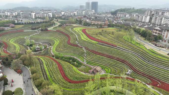 贵州大方县奢香古镇梯田