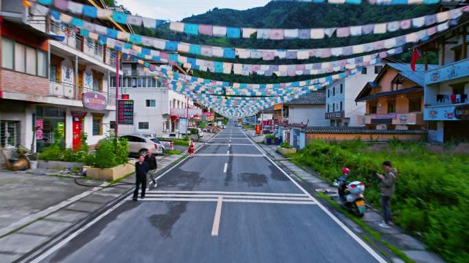 夹拉村宝兴县