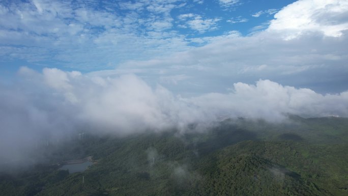 珠海加林山的云海