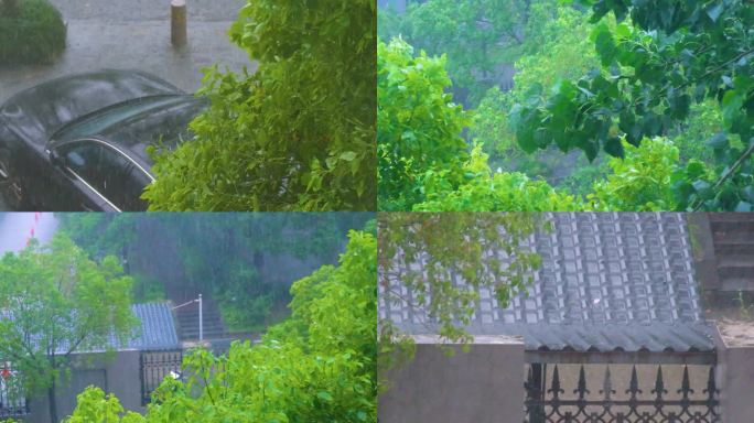 城市下暴雨下雨天雨水雨滴植物树叶子树木雨