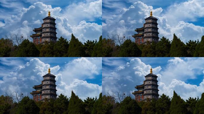 青岛 湛山寺