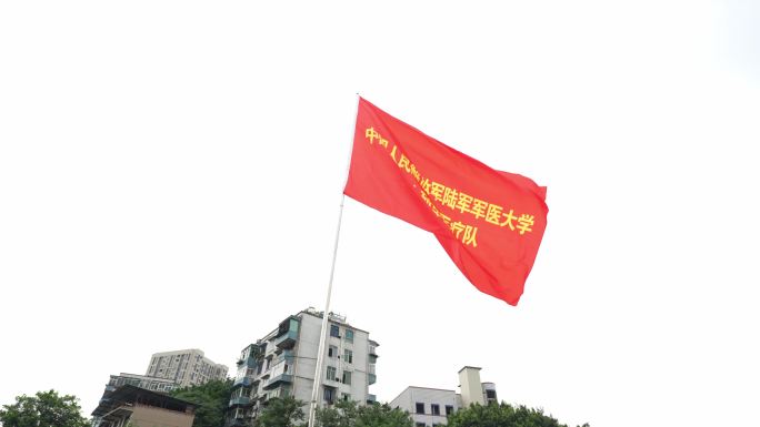 中国人民解放军陆军军医大学旗子