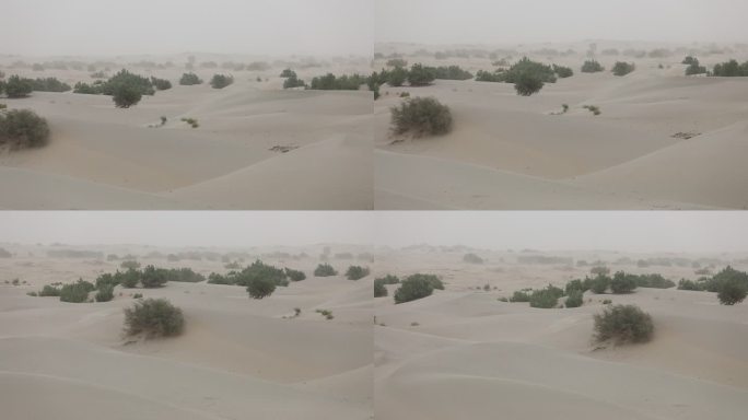 沙漠 大风移动 沙丘   无人区 干旱