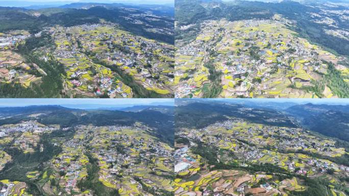 苍溪县高坡梯田油菜花