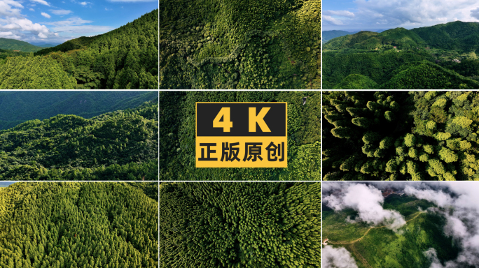 森林公园树林山林4K航拍