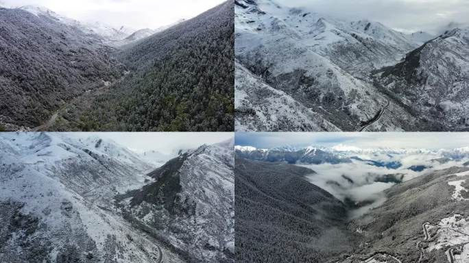 川西高原雪景