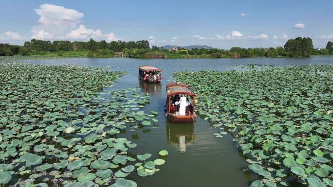 航拍江门古劳水乡旅游区