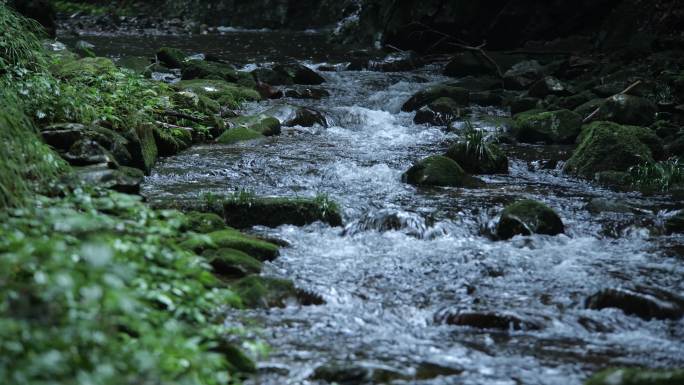 实拍小溪河流山泉水