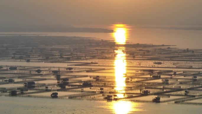 4K航拍阳澄湖夕阳日落素材