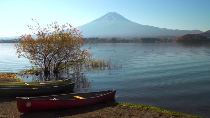 川口湖那边是富士山:岸边的独木舟
