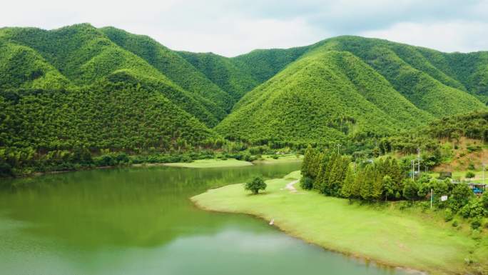 浙江省安吉青山绿水水牛白鹭栖息生态环境