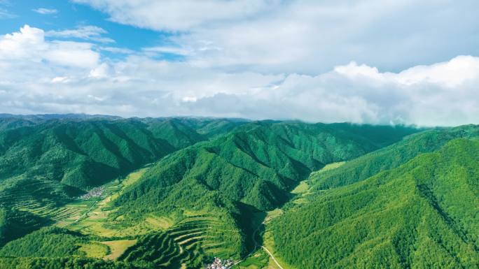 张家川县关草原