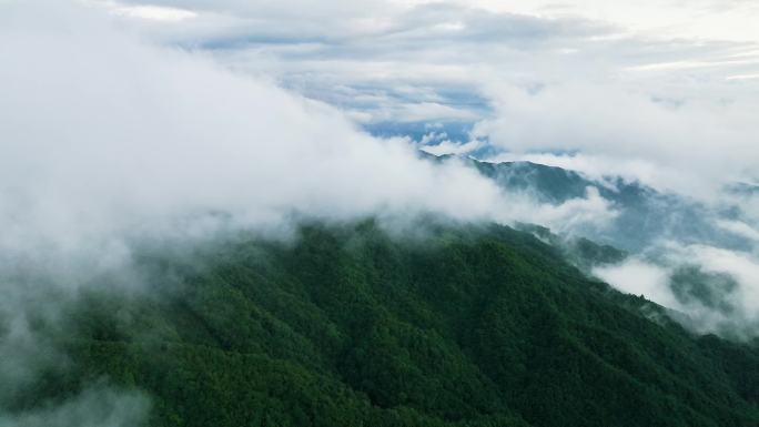 云海 山川 森林