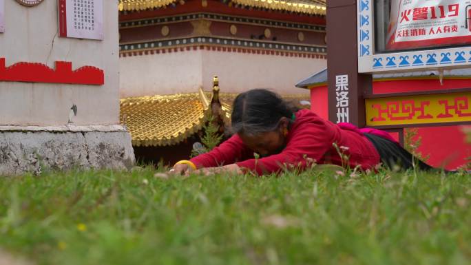 藏族妇女磕长头念经
