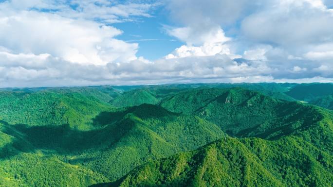 张家川县关草原