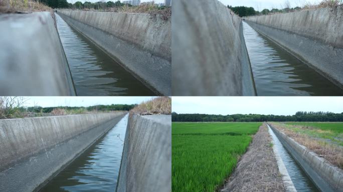 水渠 灌溉 农业 水利 新农业 调水 水