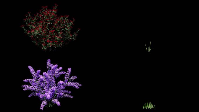 8款花卉植物生长视频素材带通道素材