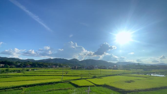 实拍湖南乡村稻田