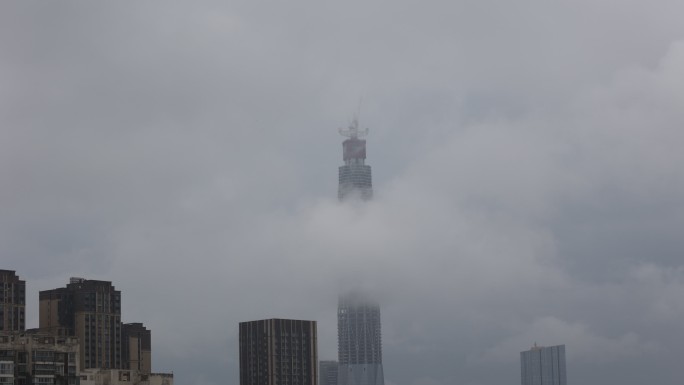 云雾中的绿地468
