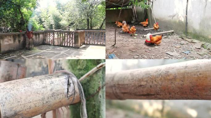 农村夏季蚂蚁鸡群烟囱视频素材包