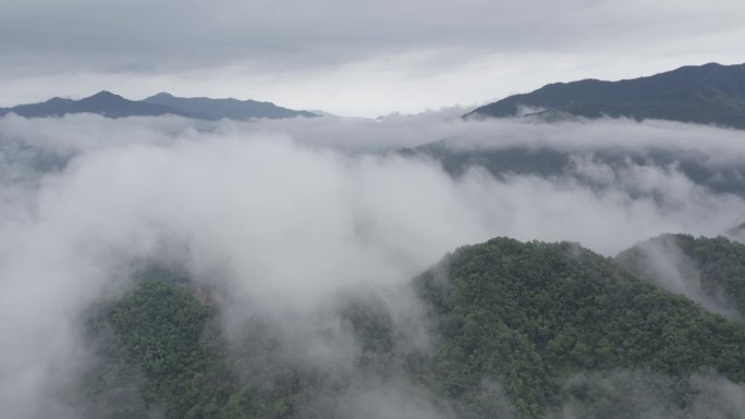 石台县城