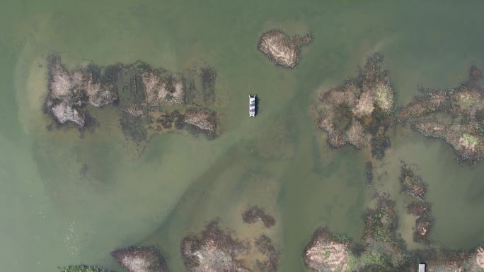 深圳福田红树林生态公园 深圳河入海口