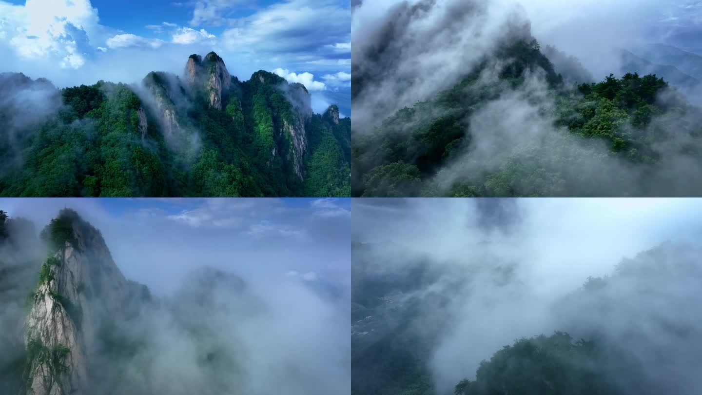森林云雾蓝天白云绿色生态自然航拍