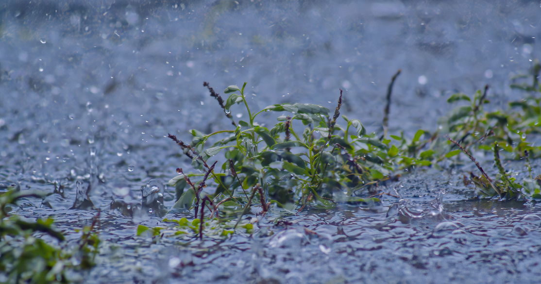 4k下雨慢镜头240帧升格