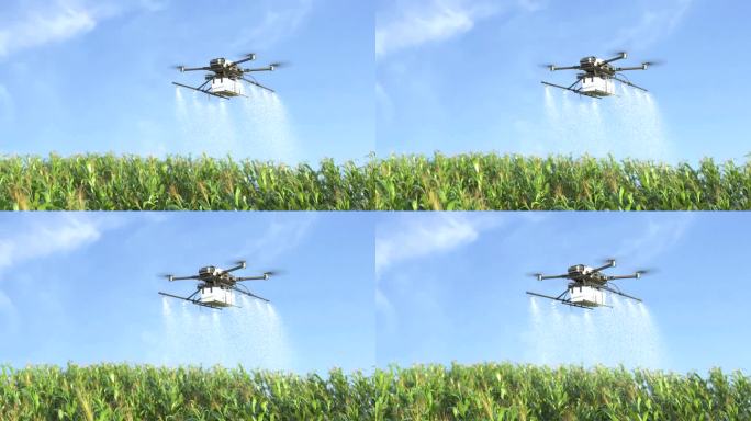玉米田无人机施肥，农场自动化技术