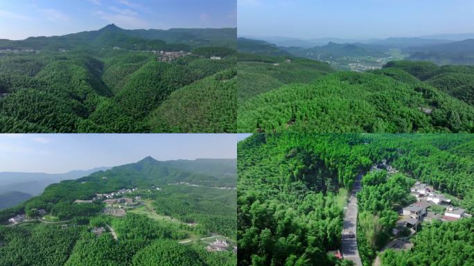 竹海 生态 绿意 青山 环保 碳达峰