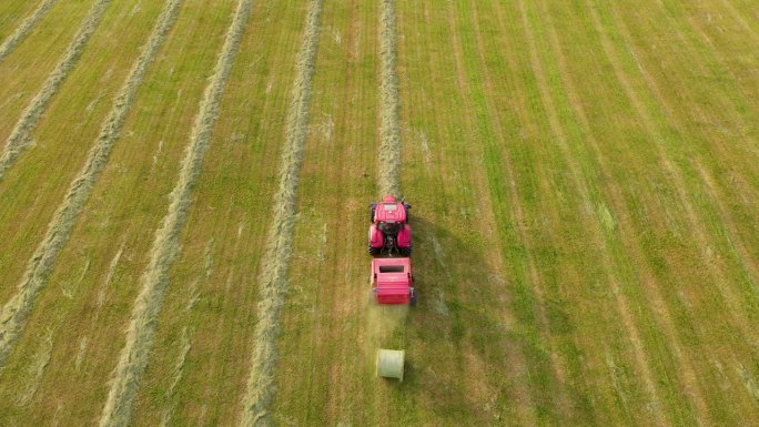 拖拉机用圆形打包机在农田上卸载干草。农用机械在夏季进行季节性工作