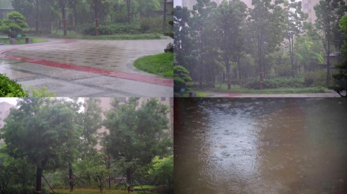 下大雨 暴雨 夏季 雨季