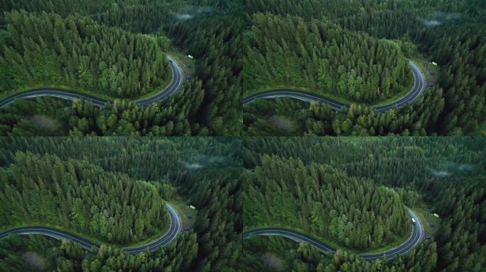 空中无人机拍摄的蜿蜒穿过森林的山路