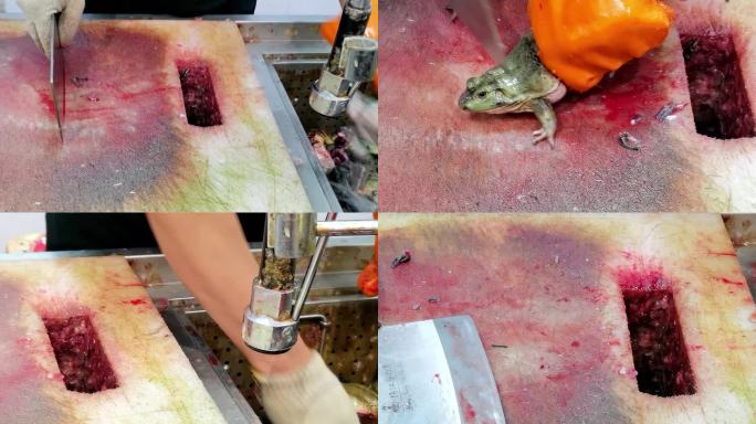 杀牛蛙，牛蛙屠宰剥皮全过程视频素材