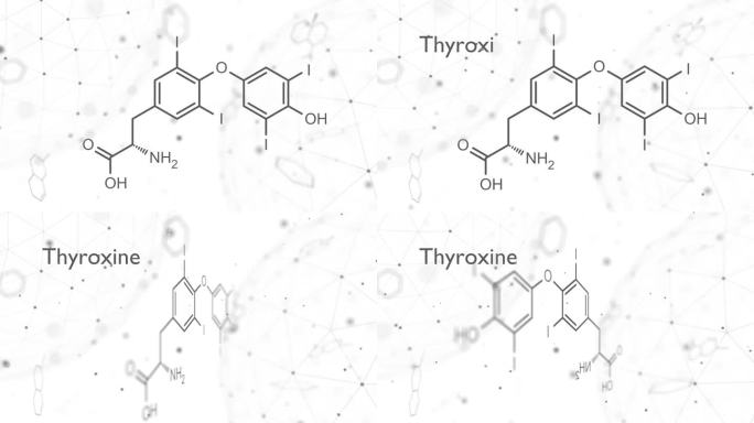 甲状腺素，T4或左甲状腺素甲状腺激素分子。甲状腺原氨酸T3原激素。用作治疗甲状腺功能减退的药物。骨骼