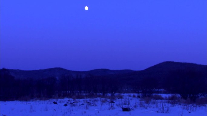东北森林圆月雪景夜景 月升过程延时