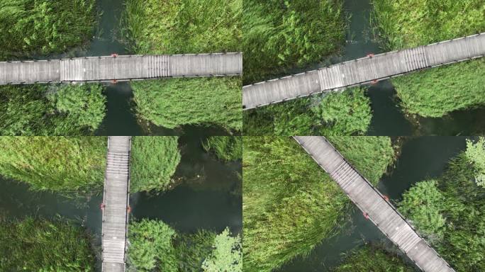 苏州太湖湖滨国家湿地公园木栈道航拍
