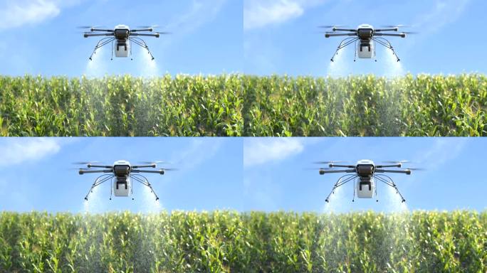 玉米田无人机喷肥、智慧农业创新、农业科技