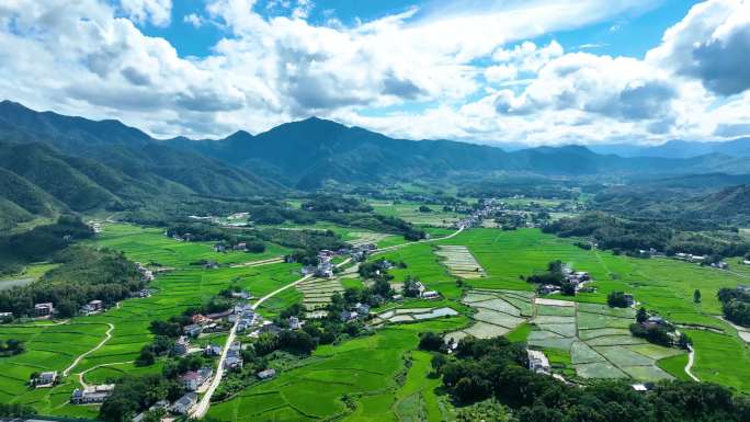 乡村振兴 美丽乡村 乡村基地大棚航拍