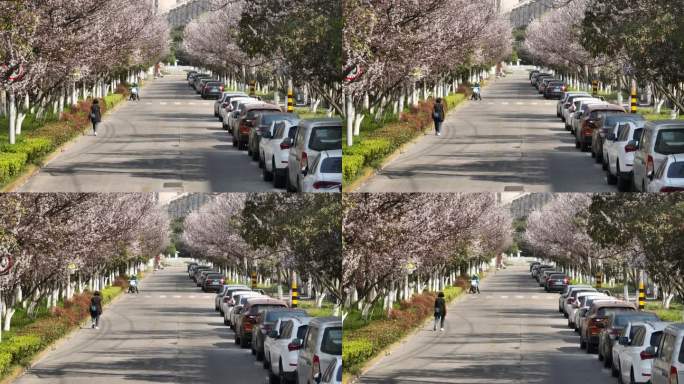 4K航拍春日里的道路