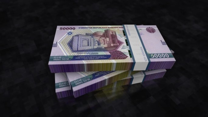 乌兹别克斯坦Sum money钞票堆包动画