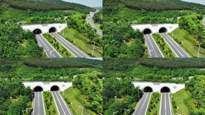 高速公路和渔洋山隧道