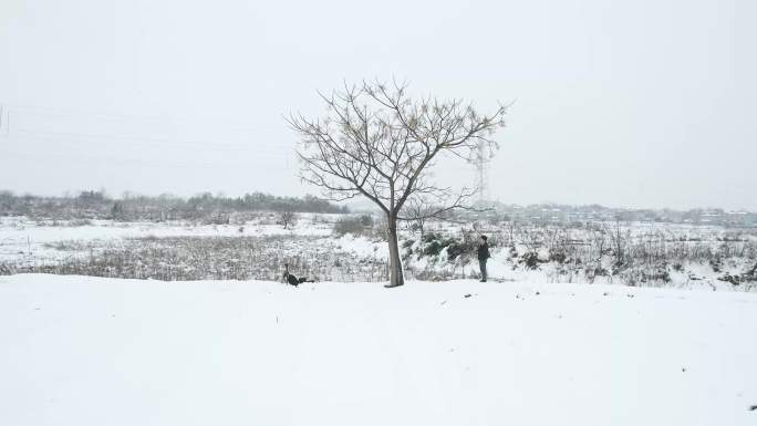 人站在树下大雪天人与树