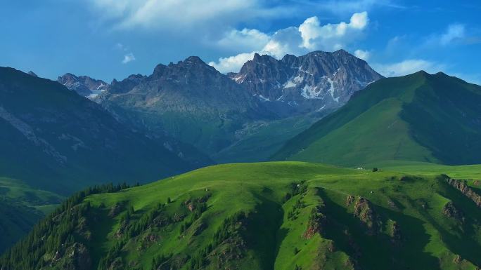 新疆伊犁高山草原航拍