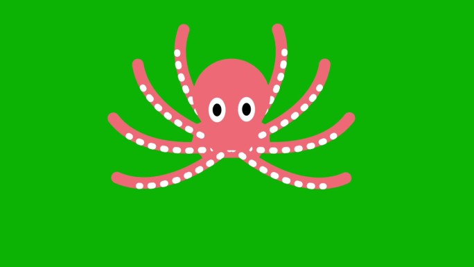 章鱼游泳绿屏背景。4 k动画。