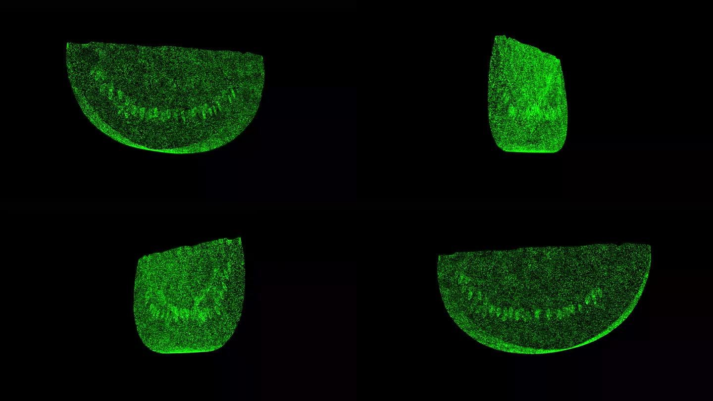 3D西瓜片旋转黑色bg。健康食品理念。食品市场，出售蔬菜和水果。用于标题，文本，演示。时令水果，夏日