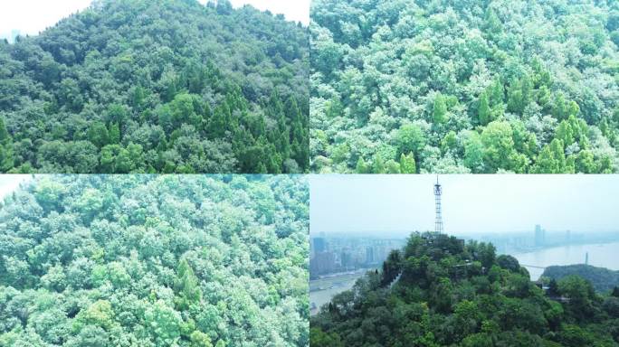 宜昌 俯视过山坡 江景