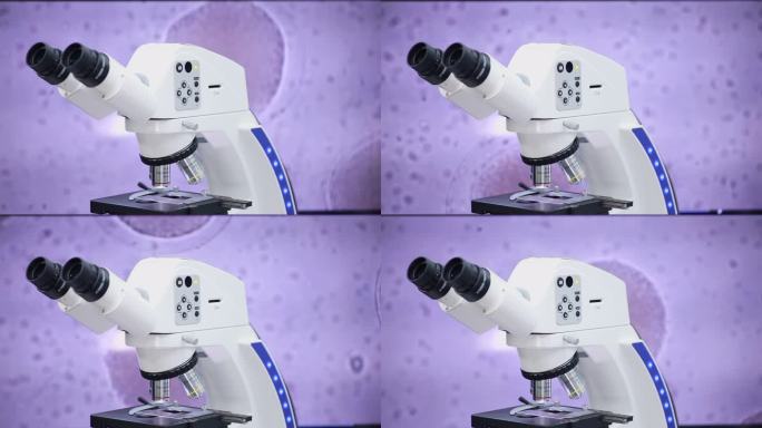 显微镜下体外受精(IVF)过程。