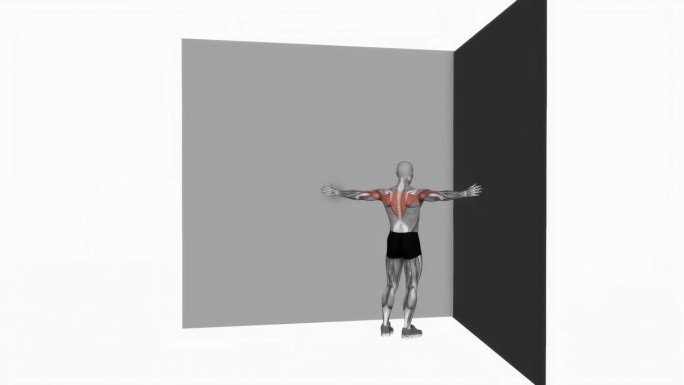 3d渲染的动画，一个运动员做俯卧撑的墙壁隔离在一个白色的背景