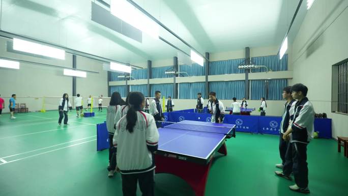 室内体育馆 羽毛球 乒乓球 运动学校素材